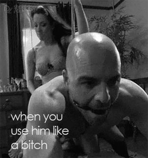 Photo by dailylust with the username @dailylust,  May 30, 2024 at 5:06 AM. The post is about the topic Daily Lust and the text says '#usehimlikeabitch #bitch #femdom #pegging #doggy #poundhim #strapon #ballgag #anal #fuckhim #dailylust'