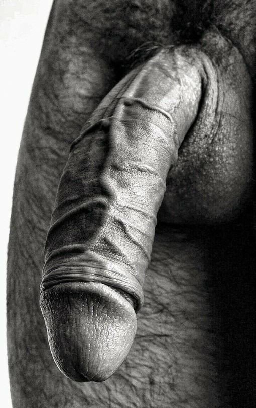 Shared Photo by Tetemontoliu with the username @Tetemontoliu,  May 9, 2020 at 10:14 PM and the text says 'Nude NSFW (Adult Content) #muscle #hairy #curvedcock #bigcock #hugecock #cum #breed #fuck #bumped #tina #dick #bigdick #harddick #cock #bareback #creampie #musclephuk #curveddowncock'