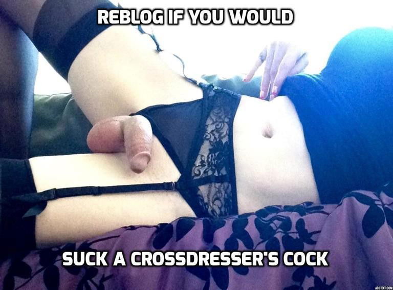 Photo by Shonni B with the username @ShonniB, who is a verified user,  May 12, 2020 at 7:00 PM and the text says 'would you suck my cock?
#sissy #crossdresser #trans #trap #bisexual #pantyboi'