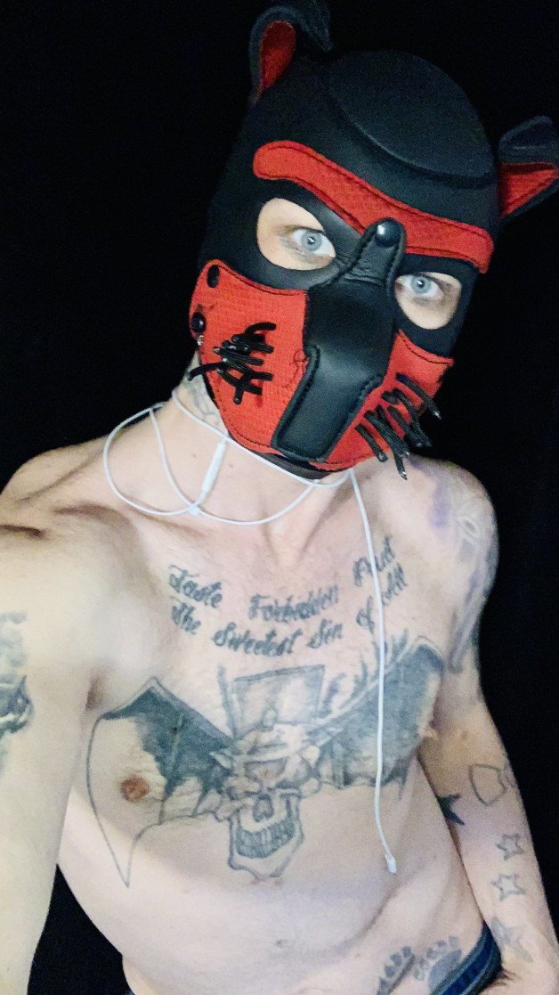 Photo by delsin pistons with the username @delsinpistons, who is a star user,  April 5, 2021 at 2:45 AM and the text says '#pup #gaypornstar #delsinpistons'