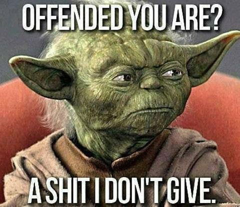 Photo by Mike Hawke with the username @wunhunglow410, who is a verified user,  October 13, 2013 at 4:56 AM and the text says 'Sound like me he does.  #funny  #hilarious  #funny  #pics  #yoda  #jedi  #meme'