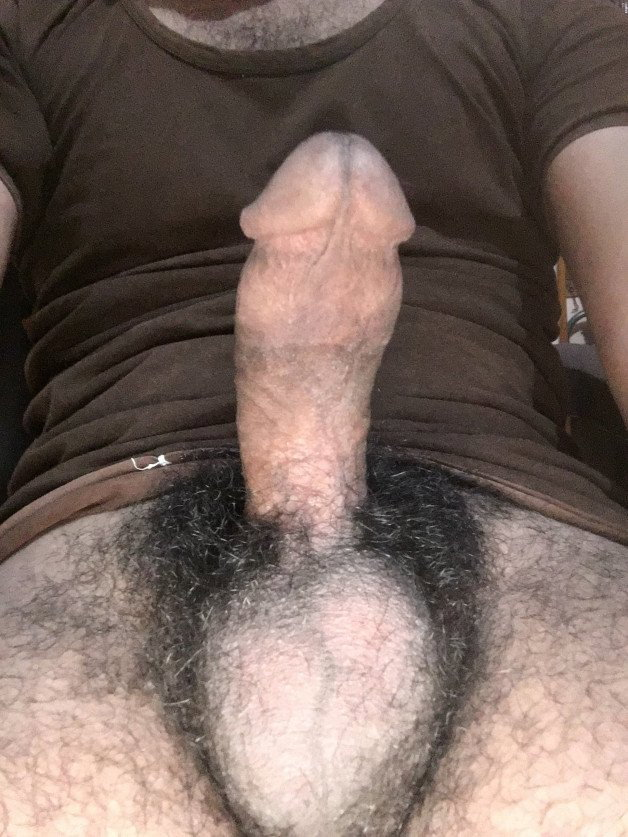 Photo by Irfan68712 with the username @Irfan68712,  August 19, 2021 at 6:04 AM. The post is about the topic Rate my pussy or dick and the text says 'can someone rate my dick unshaved 🤦‍♂️
any girl out there ro give blowjob please'