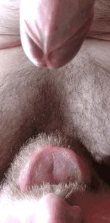 Photo by Sir Maci with the username @SirMaci,  November 11, 2020 at 1:34 PM. The post is about the topic Selfsuck and the text says 'Recycling #cock #cum #selfsuck #selfsucking #cumming #orgasm #beard #moustache #tongue  #hairy'