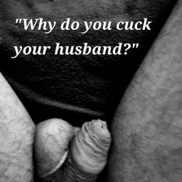 Photo by FoxyWife4Life with the username @FoxyWife4Life, who is a star user,  April 9, 2024 at 8:15 AM. The post is about the topic Cuckold and Hotwife Corner and the text says 'Exhibit A

https://onlyfans.com/FoxyWife4Life'