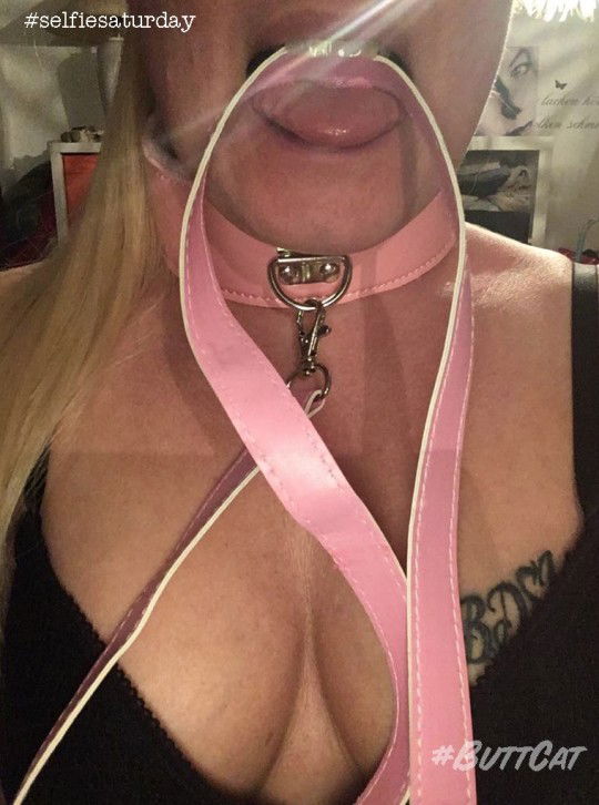 Album by bullfrog with the username @bullfrog2018,  October 19, 2019 at 9:51 AM. The post is about the topic BDSM from tumblr and the text says 'Buttcat from BDSML. Have tons of her'