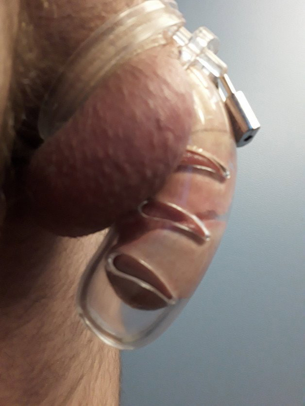Photo by Lexie FutureHotwife? with the username @Lexie13,  September 24, 2021 at 11:05 PM. The post is about the topic Male Chastity and the text says 'Well, I officially own his cock. How long should I make him wait? 😈'