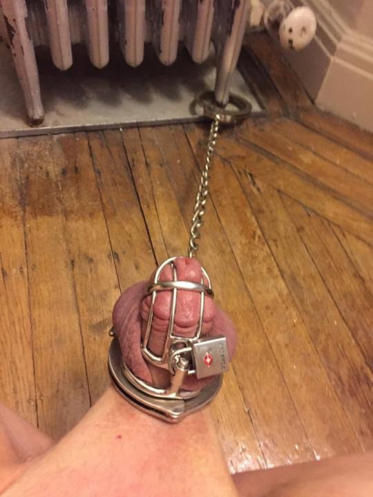 Photo by Dicklet with the username @Sissycuck89,  September 15, 2020 at 5:51 AM. The post is about the topic Femdom / cuckoldress and the text says 'Chained and caged 😋'