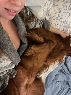 Photo by Billy and Bird with the username @Nutsfortheshoe, who is a verified user,  December 7, 2024 at 3:08 AM. The post is about the topic Homemade and the text says 'Everyone should habe a snuggly red head to snuggle on cold nights 🐶💕🍈🍈'