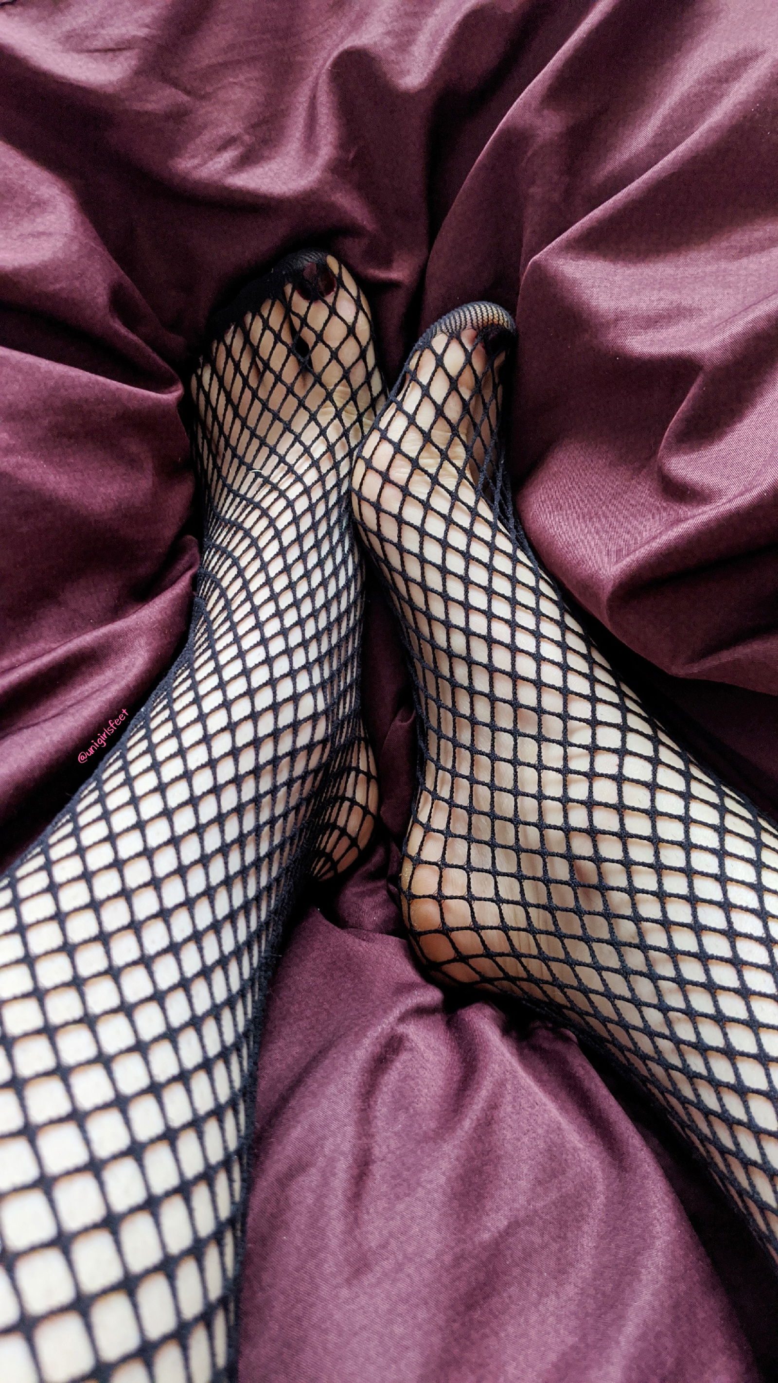 Photo by unigirlsfeet with the username @unigirlsfeet,  September 4, 2020 at 9:20 AM. The post is about the topic Foot Worship and the text says 'who likes fishnets? 
message me for custom vids,pics and worn items. 
find me on twitter and IG @unigirlsfeet 
this is part of a photoset of 12 pics - DM for the rest'