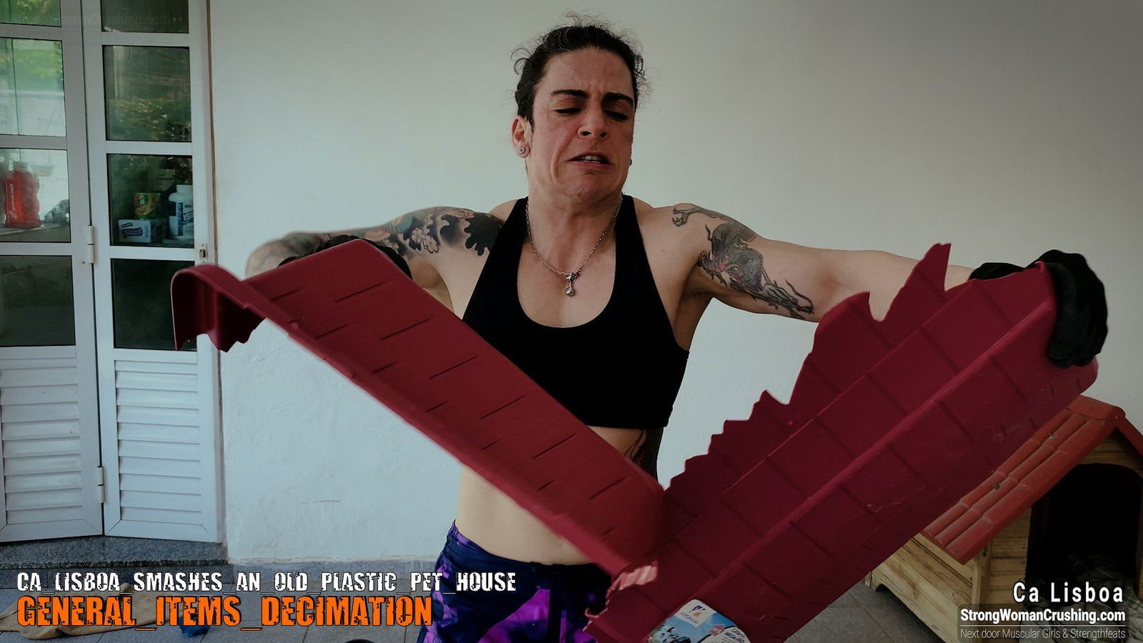 Album by MusclegirlStrength with the username @MusclegirlStrength, who is a brand user,  October 30, 2023 at 11:33 AM and the text says 'Visit www.StrongWomanCrushing.com and become a member today!

🔥 Calling all muscle-loving men! Watch Ca Lisboa unleash her power and demolish an old plastic pet house! 💪

Don't miss out on this jaw-dropping display of strength and destruction by the..'