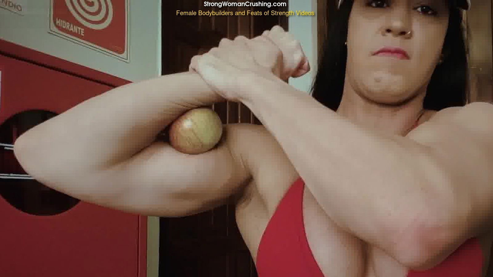 Album by MusclegirlStrength with the username @MusclegirlStrength, who is a brand user,  April 16, 2024 at 1:43 AM and the text says 'Muscle Queen Nana Olyver Crushes Apples with Super Strength!: StrongWomanCrushing.com

#musclegirl #musclegirllove #femalemuscle #femalemuscles #featsofstrength #MuscleMavens #StrengthIsSexy #PowerfulWomen'