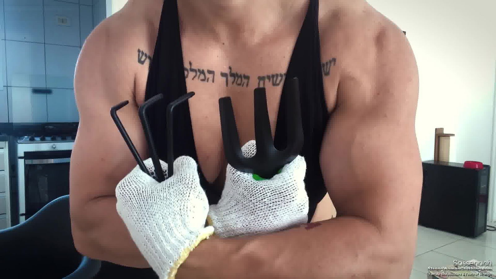 Album by MusclegirlStrength with the username @MusclegirlStrength, who is a brand user,  February 12, 2024 at 1:38 PM and the text says 'Muscle Goddess Unleashes Unstoppable Power - Demolishing Garden Tools!
Full Video: https://bit.ly/4aU0m3Z

Unleash Your Inner Power with Muscular Girls: Witness Jaw-Dropping Flexing, Metal-Bending, Car-Lifting, and Thigh-Crushing!

#musclegirl..'