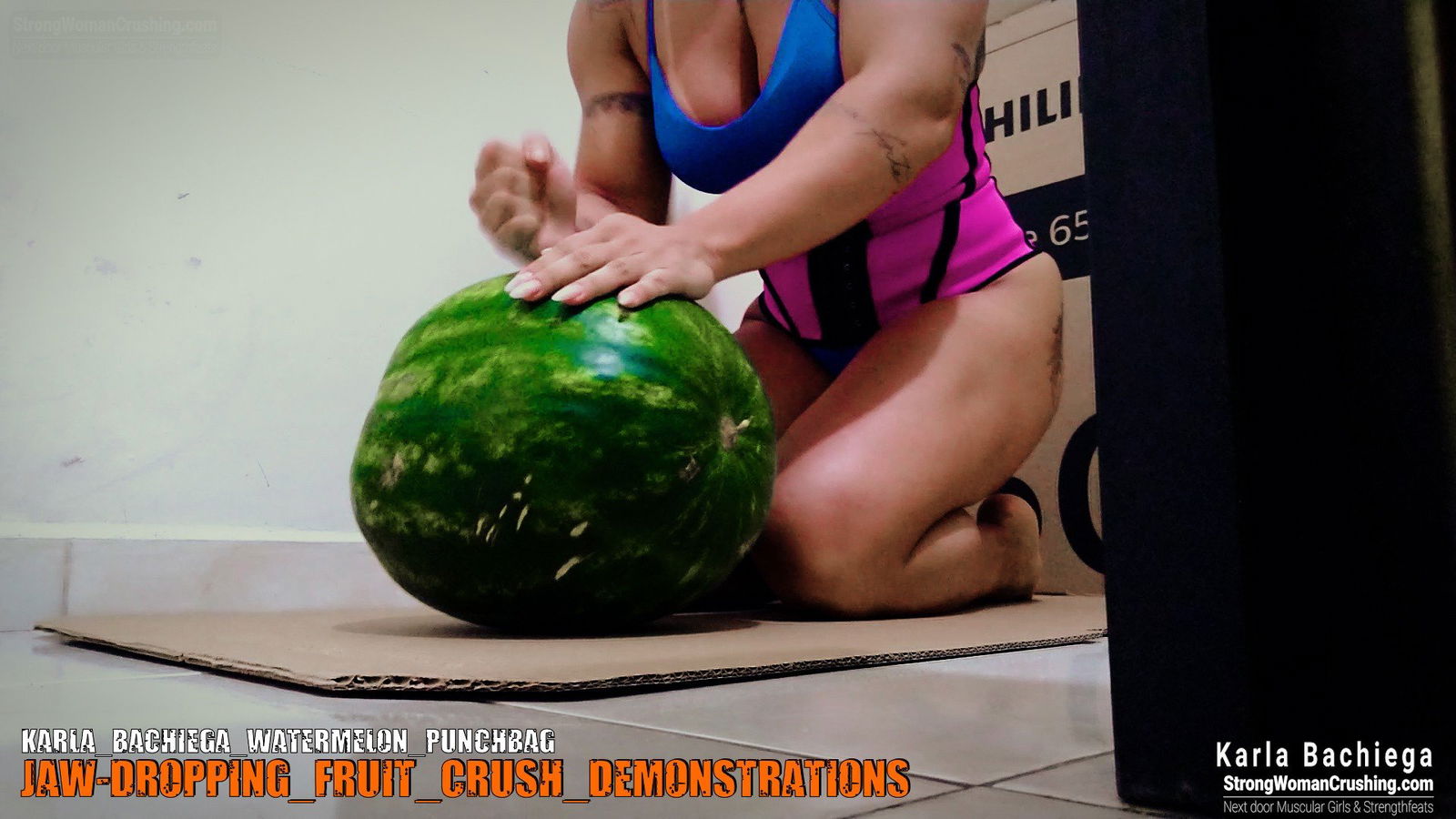 Photo by MusclegirlStrength with the username @MusclegirlStrength, who is a brand user,  November 4, 2023 at 12:57 PM and the text says 'Visit www.StrongWomanCrushing.com and become a member today!

🍉 Watch Karla Bachiega Watermelon Punchbag Video! 🎥
Are you ready to witness the incredible strength and power of Karla Bachiega? 💪🔥

🔥🔥 Calling all men who love muscular female..'