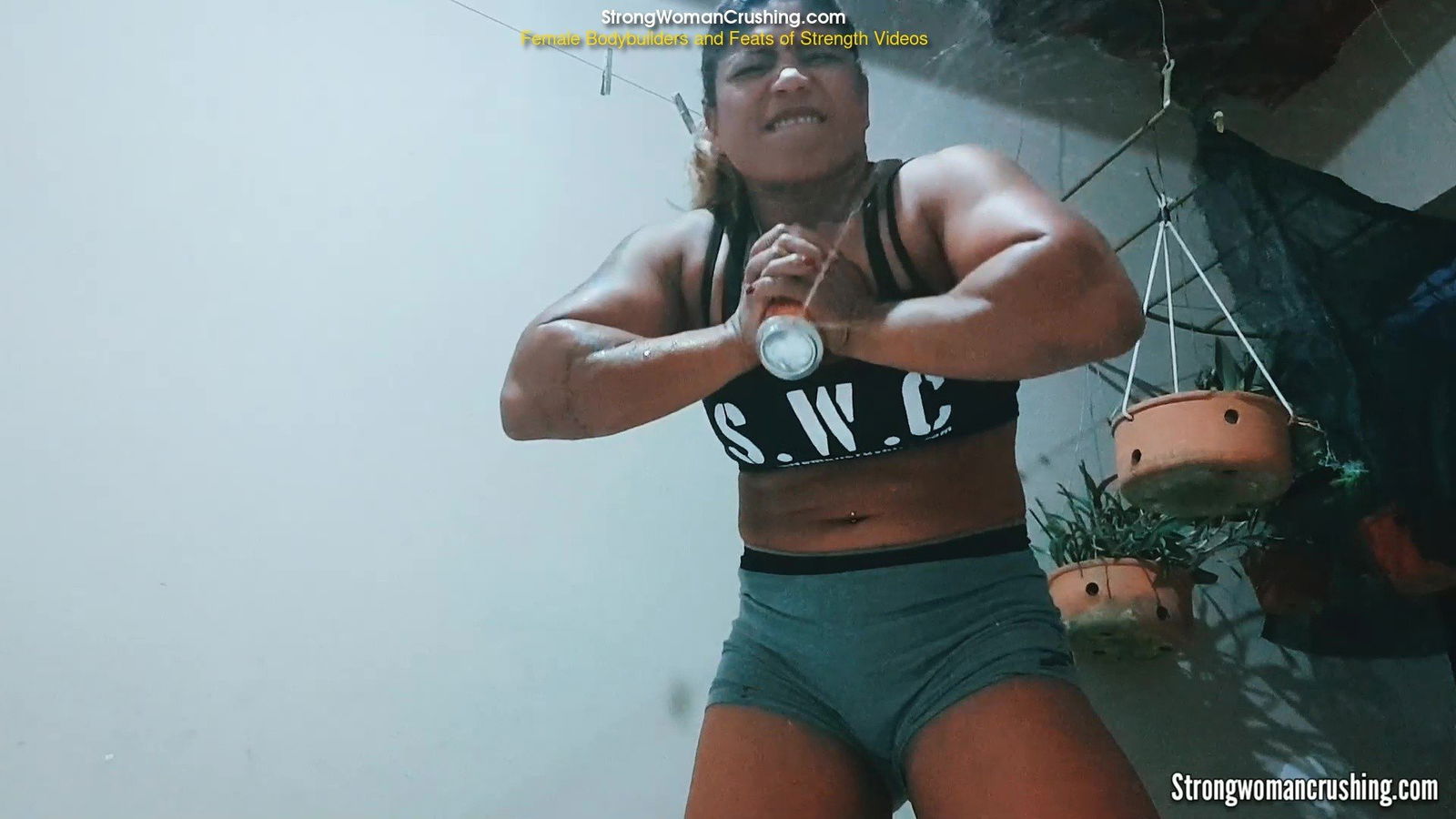 Album by MusclegirlStrength with the username @MusclegirlStrength, who is a brand user,  June 2, 2024 at 1:05 PM and the text says 'Watch Rogatona Crush Open Soda Cans with Her Incredible Strength!:
https://www.strongwomancrushing.com/2019/09/25/rogatona-crush-open-soda-cans/

Muscular Rogatona crushes open soda cans with ease. Watch her show off her strength!

#musclegirl..'