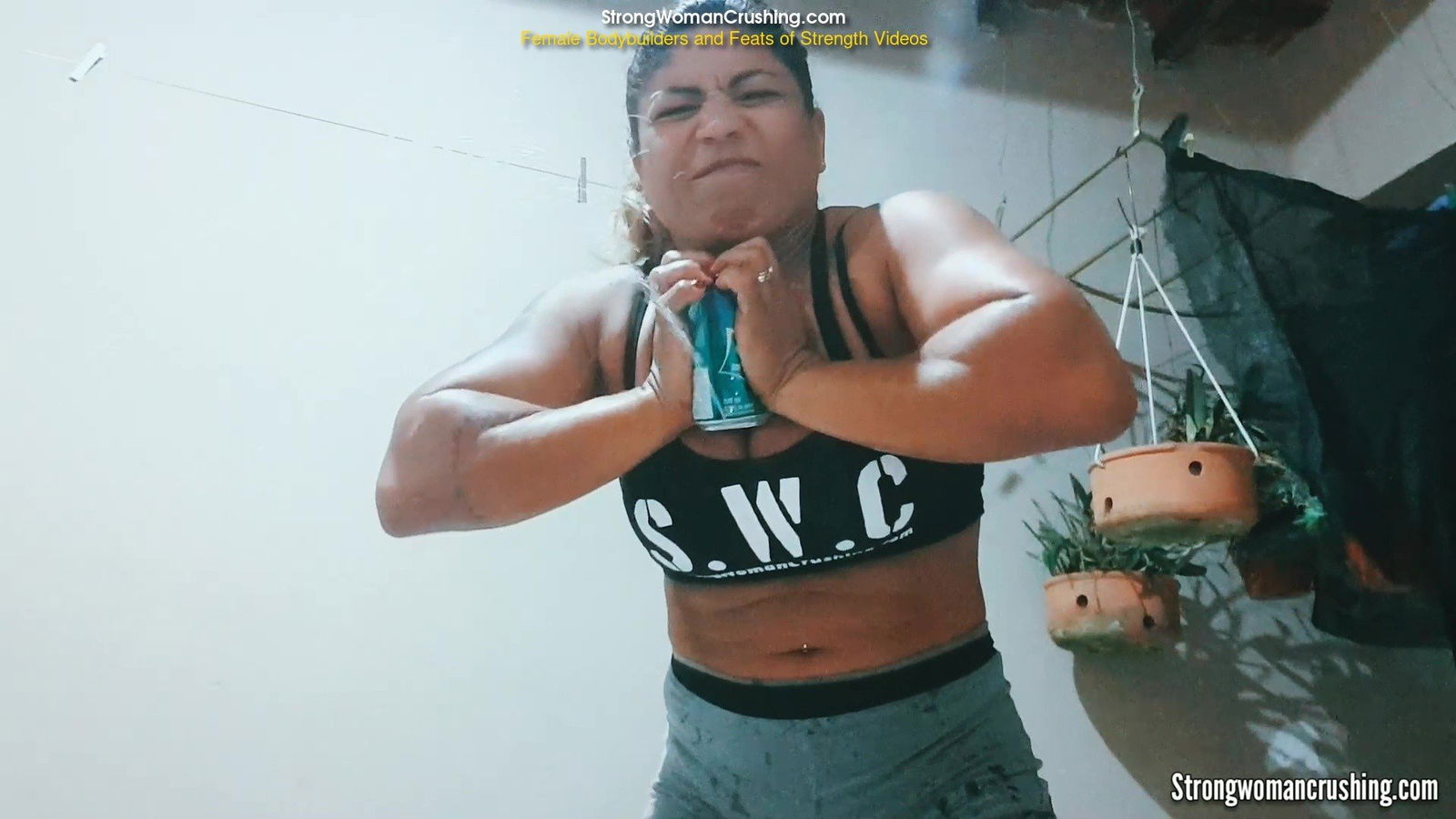 Album by MusclegirlStrength with the username @MusclegirlStrength, who is a brand user,  June 2, 2024 at 1:05 PM and the text says 'Watch Rogatona Crush Open Soda Cans with Her Incredible Strength!:
https://www.strongwomancrushing.com/2019/09/25/rogatona-crush-open-soda-cans/

Muscular Rogatona crushes open soda cans with ease. Watch her show off her strength!

#musclegirl..'