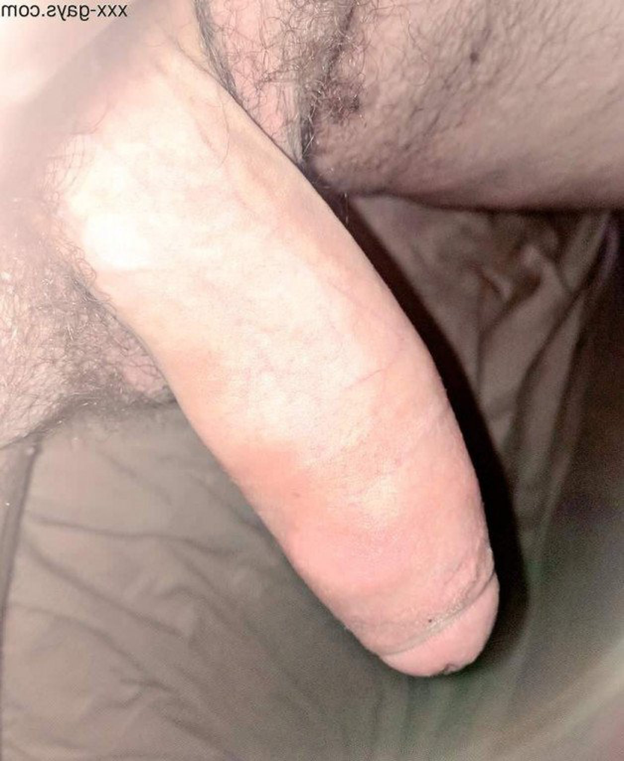 Photo by jeff4U with the username @Me4U2cum,  July 16, 2021 at 3:05 PM. The post is about the topic Nice shaved cocks