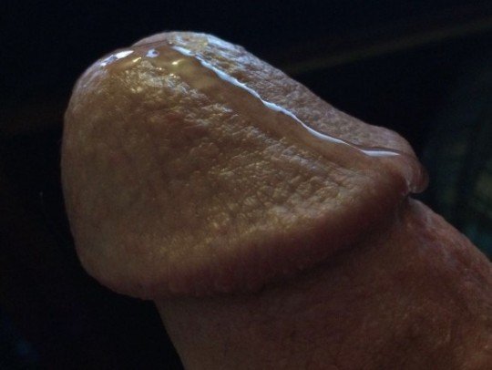 Photo by Bunny with the username @BunnyDick,  September 9, 2020 at 6:05 PM. The post is about the topic Show your DICK and the text says 'Leaking precum ^3^

#me #Penis #Cock  #Glans #Precum #leaking #CloseUp'