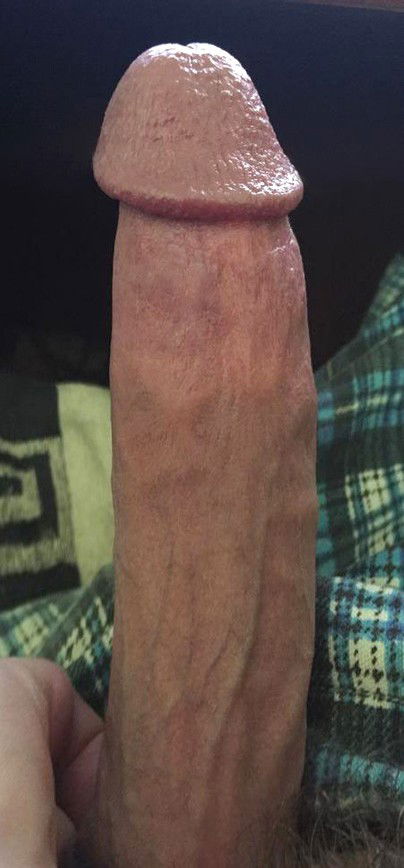 Photo by Bunny with the username @BunnyDick,  October 31, 2020 at 7:40 PM. The post is about the topic Big dicks and the text says 'A regular boner :3
#me #penis #cock #dick #glans #veins'