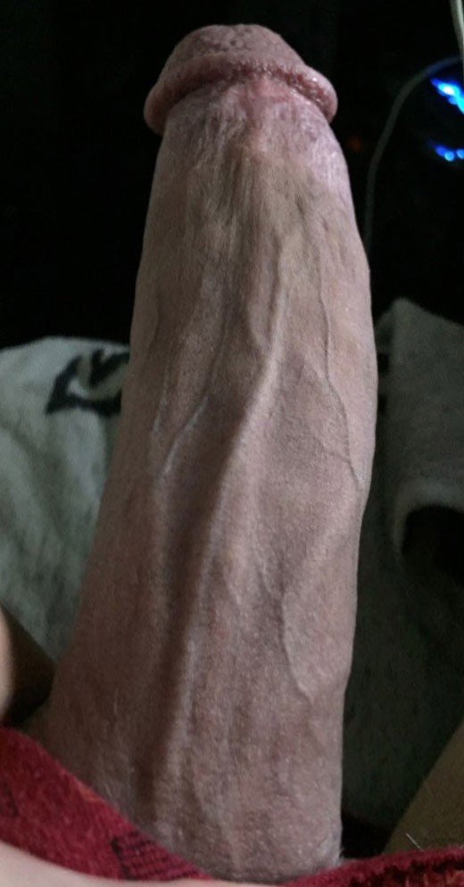 Photo by Bunny with the username @BunnyDick,  December 1, 2020 at 7:04 PM. The post is about the topic Big dicks and the text says 'So long and veiny muh member is, impossible to hide ^3^
#me #cock #dick #closeup #glans #big #long'