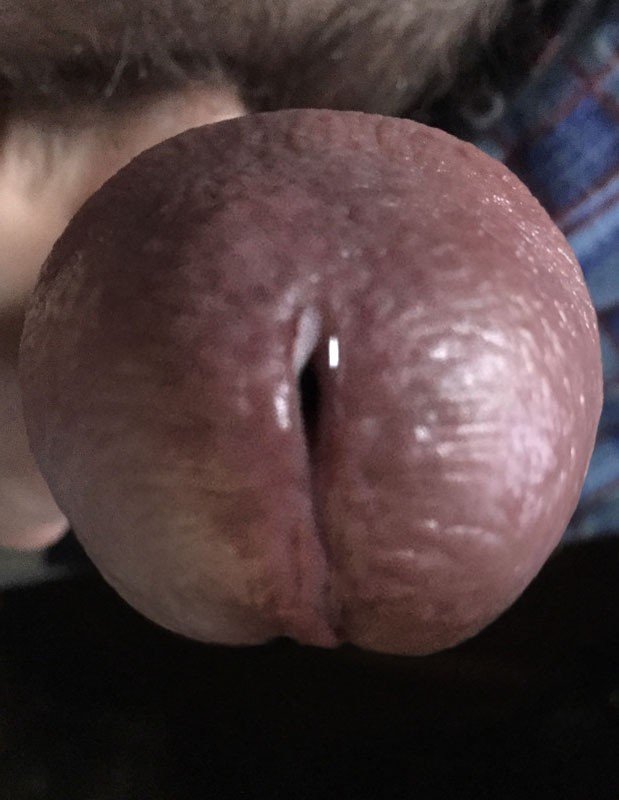 Photo by Bunny with the username @BunnyDick,  April 28, 2021 at 4:05 PM. The post is about the topic Cocks Up-Close and Personal and the text says '#me #cock #penis #dick #closeup #glans #shroom #precum #pov #takerpov'