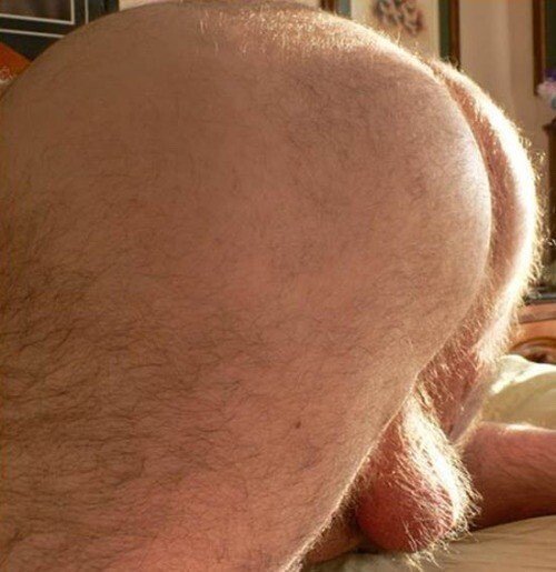 Photo by Undone-gay briefs with the username @Undone,  October 9, 2023 at 5:01 PM. The post is about the topic Gay and the text says 'Hairy balls and fuzzy butts are my obsession, just sit on my face'