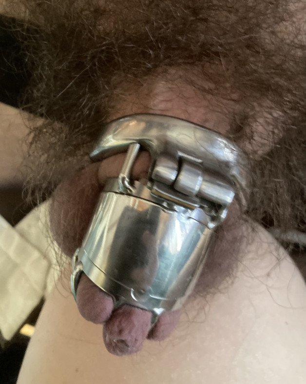 Photo by UnsatisfiedDom with the username @UnsatisfiedDom,  May 8, 2021 at 8:23 AM. The post is about the topic Male Chastity and the text says 'This is the effect licking my pussy has on my submissive husband. Tightly trapped in his cage. I made sure I kept him worked up for hours, so that he served and pleasured me when and how I wanted'