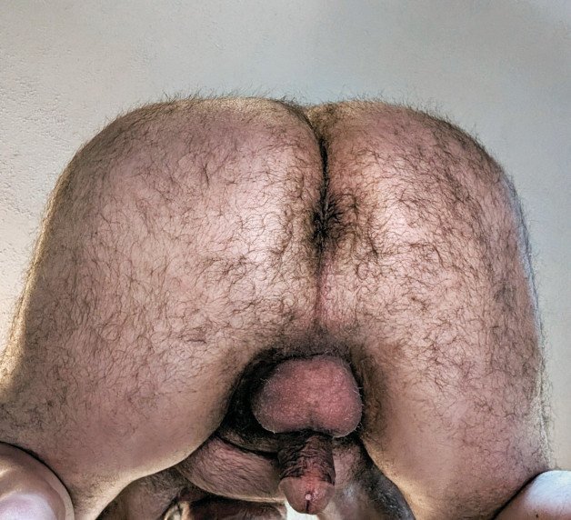 Photo by Cautious Curious with the username @CautiousCurious, who is a verified user,  April 22, 2024 at 12:38 PM. The post is about the topic Gay hairy asshole and the text says 'My hairy ass, cock and balls.
#me #ass #hairy #balls #cock #cautiouscurious'