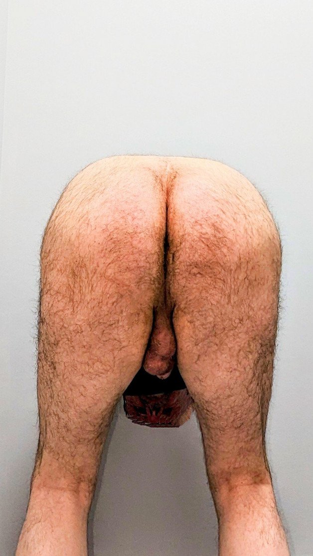 Photo by Cautious Curious with the username @CautiousCurious, who is a verified user,  October 31, 2023 at 9:10 PM. The post is about the topic Gay hairy asshole and the text says 'Bent over and ass up.
#me #ass #hairy #balls #cautiouscurious'