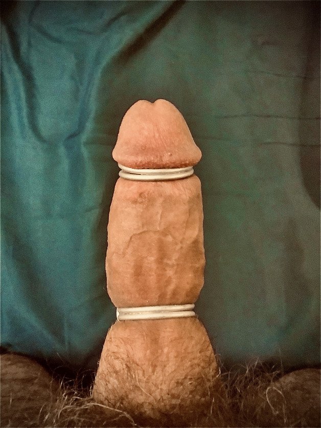 Photo by Cautious Curious with the username @CautiousCurious, who is a verified user,  April 2, 2023 at 8:23 AM. The post is about the topic Gay cbt and the text says 'Trying out a couple metal bands on my cock. Exquisite pain.
#me #cock #hardcock #erection #cbt #cautiouscurious'