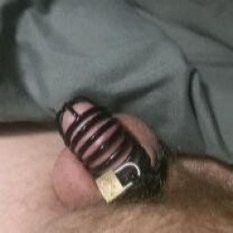 Photo by Bigbanna with the username @Bigbanna,  June 18, 2022 at 5:18 PM. The post is about the topic Male Chastity and the text says 'My last day of being locked up for 2 weeks. The wife returns tomorrow from her 2 week work trip. The cage needs to come off so i can feel her sweet soft lips. #malechasity'