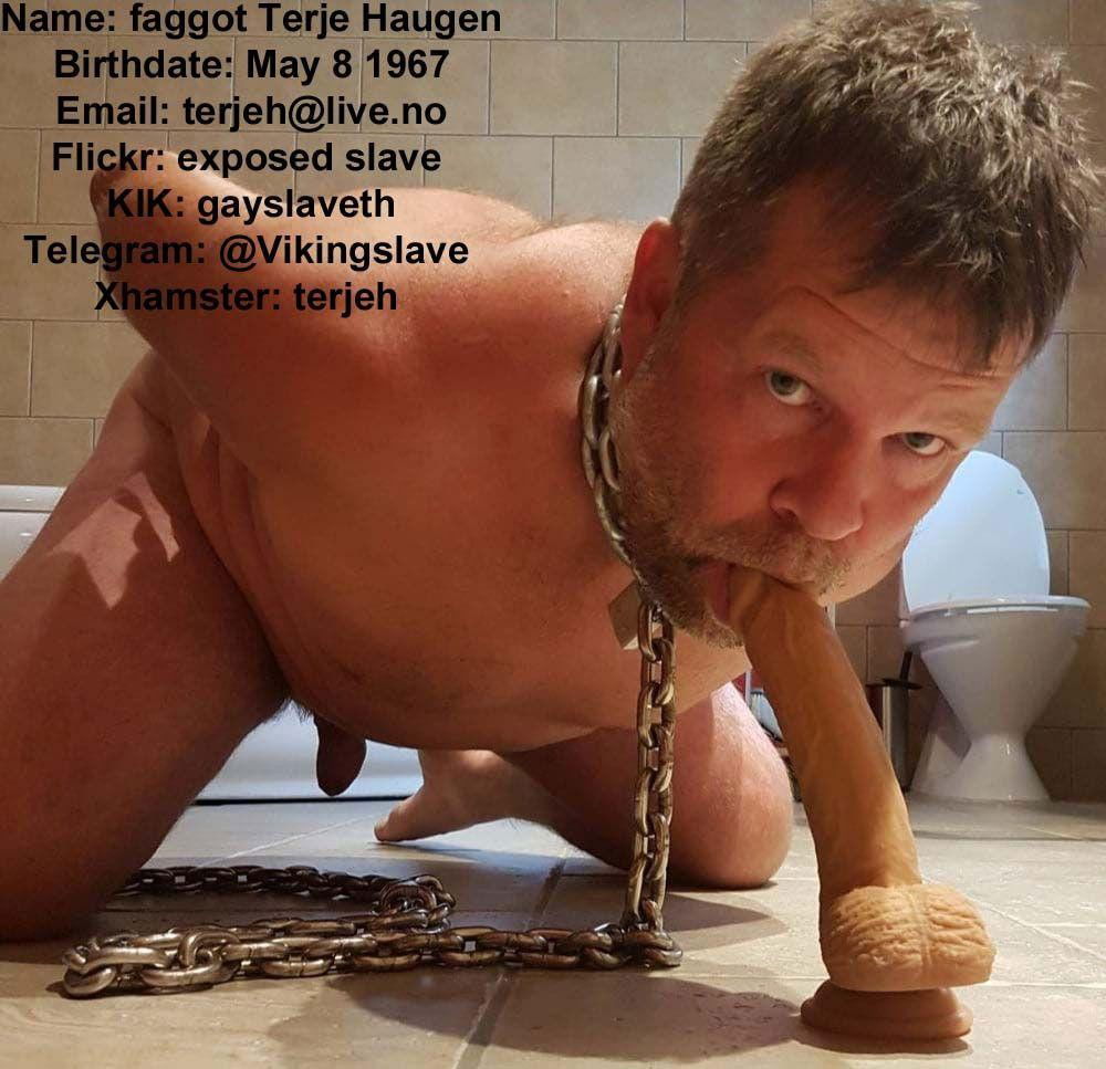 Photo by terjehaugen13 with the username @terjehaugen13,  October 13, 2020 at 5:18 PM. The post is about the topic exposure faggot and the text says 'Terje Haugen is a Norway queer sissy faggot needs hard exposure and hard degradation let him know you see his exposure to him : 
Terje Haugen 6640 Kvanne terjeh@live.no'