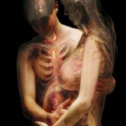 Photo by 8loops with the username @8loops,  February 25, 2021 at 11:31 PM. The post is about the topic Pregnant and the text says 'anatomy 2'