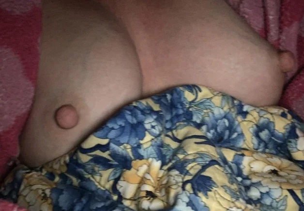Photo by Zeroshellion with the username @Zeroshellion, who is a verified user,  March 28, 2024 at 7:35 AM and the text says 'Small tits. 
Great nips'