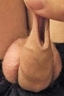 Shared Album by the foreskin is good with the username @theforeskinisgood, who is a verified user,  March 24, 2019 at 1:43 PM. The post is about the topic the foreskin is good for the penis and the text says 'A daily stretching gives you a longer sensitive foreskin'