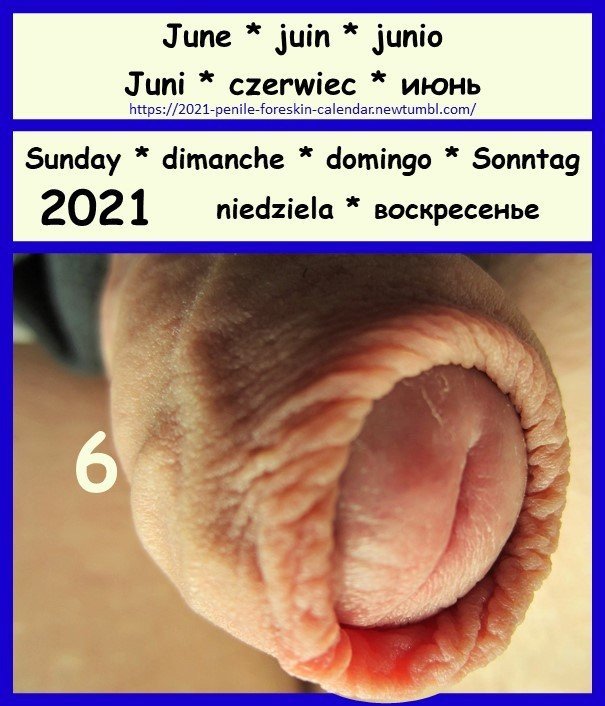 Photo by the foreskin is good with the username @theforeskinisgood, who is a verified user,  August 30, 2021 at 7:40 AM. The post is about the topic 4skincalendar2021 and the text says 'A magical foreskin ring for a healthy cock'