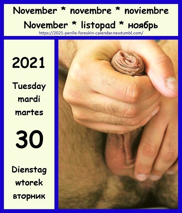 Photo by the foreskin is good with the username @theforeskinisgood, who is a verified user,  November 3, 2021 at 6:15 AM. The post is about the topic 4skincalendar2021 and the text says 'It's great to feel how it grows'