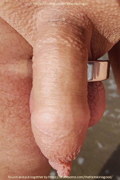 Photo by the foreskin is good with the username @theforeskinisgood, who is a verified user,  March 11, 2019 at 12:53 PM. The post is about the topic the foreskin is good for the penis and the text says 'My floppy and relaxed dick after naked jogging on the beach and after a fresh bath in the Atlantic Ocean. Between 09:10 and 09:37 a.m. All pics and more in my album: https://sharesome.com/penile4skincalendar/photos/emb757/ 😊 #foreskin #prépuce #prepucio..'