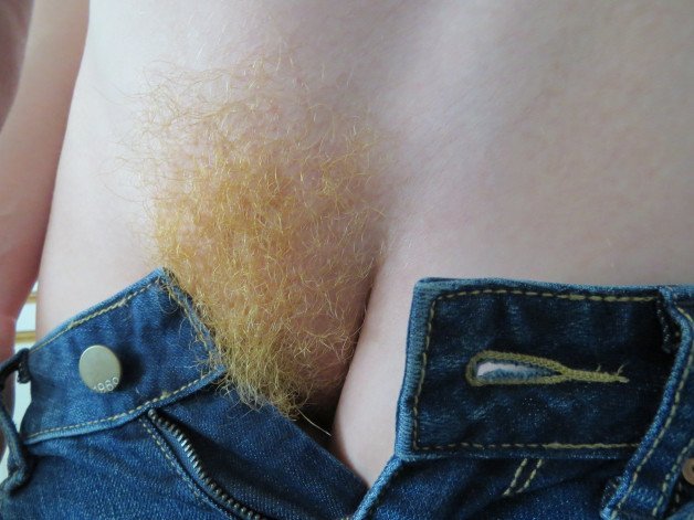 Photo by Ginger_mate with the username @Lurch12121212,  May 14, 2023 at 2:14 PM. The post is about the topic hairy pussy and the text says '#ginger #teen #bush #hairy'