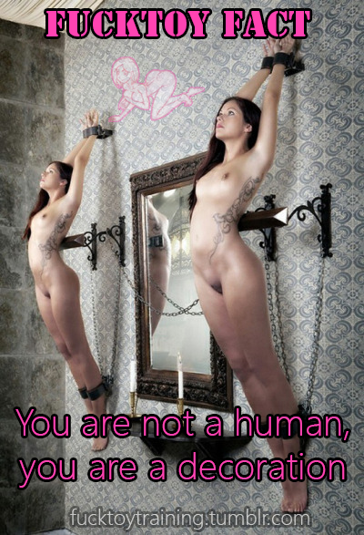 Photo by menrsuperior with the username @menrsuperior,  November 26, 2018 at 2:29 PM and the text says 'domesticcunt2:

fucktoytraining:
Fact: You are not a human, you are a Decoration.


- FuckToy Training 




Beautiful'