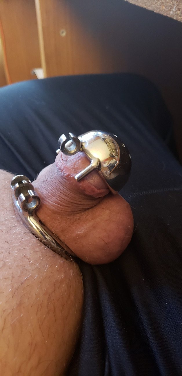 Album by Gibson1506 with the username @Gibson1506,  June 16, 2021 at 2:10 PM. The post is about the topic Male Chastity