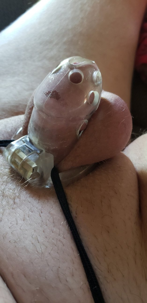 Photo by Gibson1506 with the username @Gibson1506,  June 16, 2021 at 1:56 PM. The post is about the topic Male Chastity