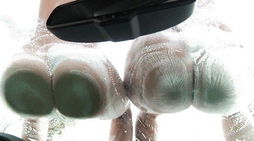 Photo by GoBestPorn with the username @GoBestPorn,  January 26, 2021 at 11:00 AM. The post is about the topic Go Best Porn and the text says '#ass #bouncing #carwash Please come and wash my car too!'