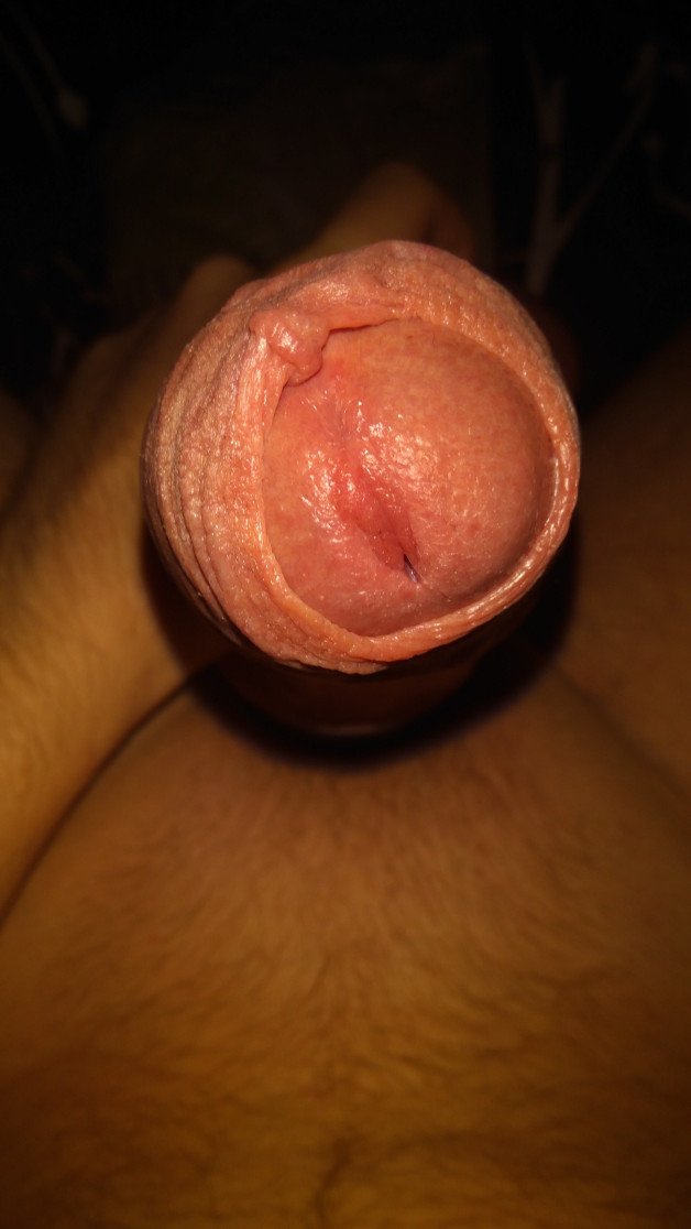 Watch the Photo by MrBang with the username @Bangable, posted on June 21, 2021. The post is about the topic Foreskin is Sexy. and the text says '#Bangable #MrBang #Foreskin #Intact #Uncut #Veins #BigCock #Balls'