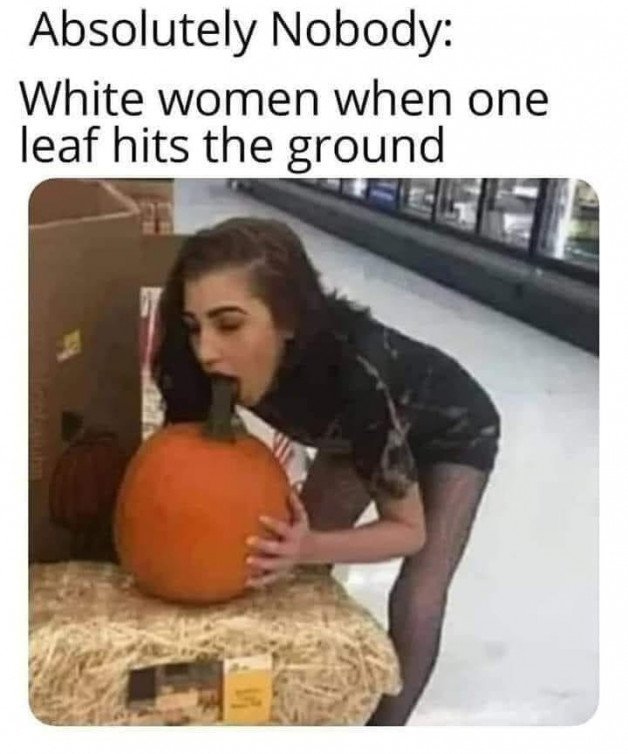 Photo by Cam Girl Podcast with the username @CamGirlDiaries, who is a brand user,  October 31, 2022 at 6:54 PM. The post is about the topic Adult Humor and the text says 'Happy Halloween white girls ? 
#happyhalloween #lol #memes'