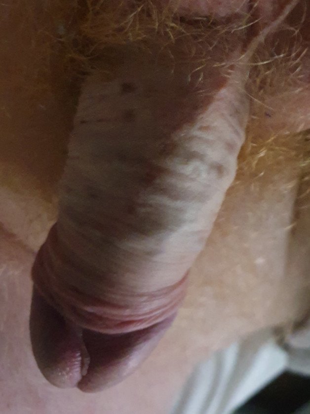 Photo by Tobeornottobe14685 with the username @Tobeornottobe14685,  October 11, 2021 at 11:35 PM. The post is about the topic Rate my pussy or dick