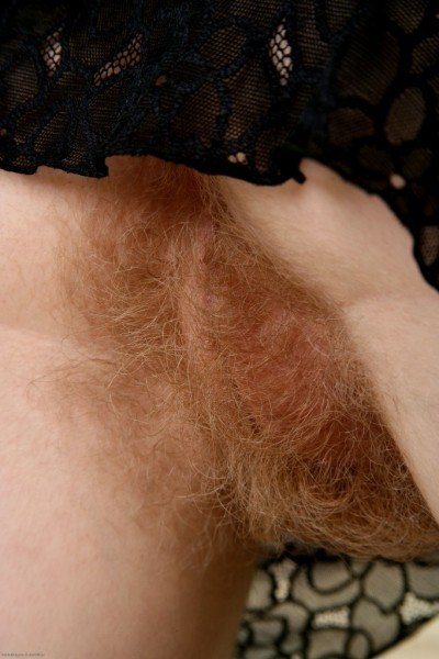 Album by Vulcan19 with the username @Vulcan19, who is a verified user,  May 27, 2022 at 2:23 PM. The post is about the topic Ginger Pubes