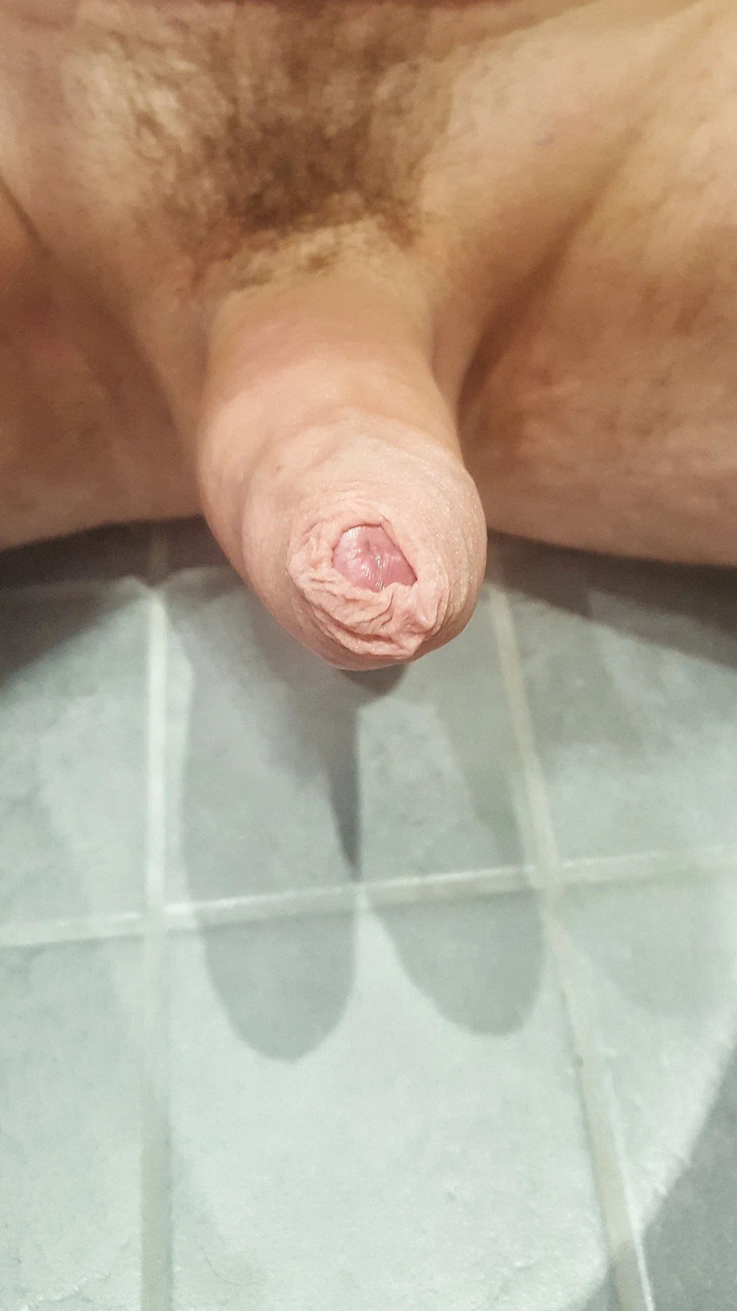 Album by Vulcan19 with the username @Vulcan19, who is a verified user,  February 23, 2024 at 5:36 AM. The post is about the topic Cocks with foreskin