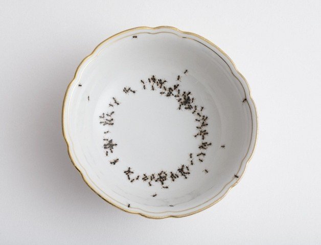 Photo by HumblyGay with the username @HumblyGay, who is a verified user,  May 8, 2014 at 3:51 PM and the text says 'soniaphan:


Vintage Porcelain Covered With Hand-Painted Ants

WHY


You kno you have a sad life if you want this at age 15'