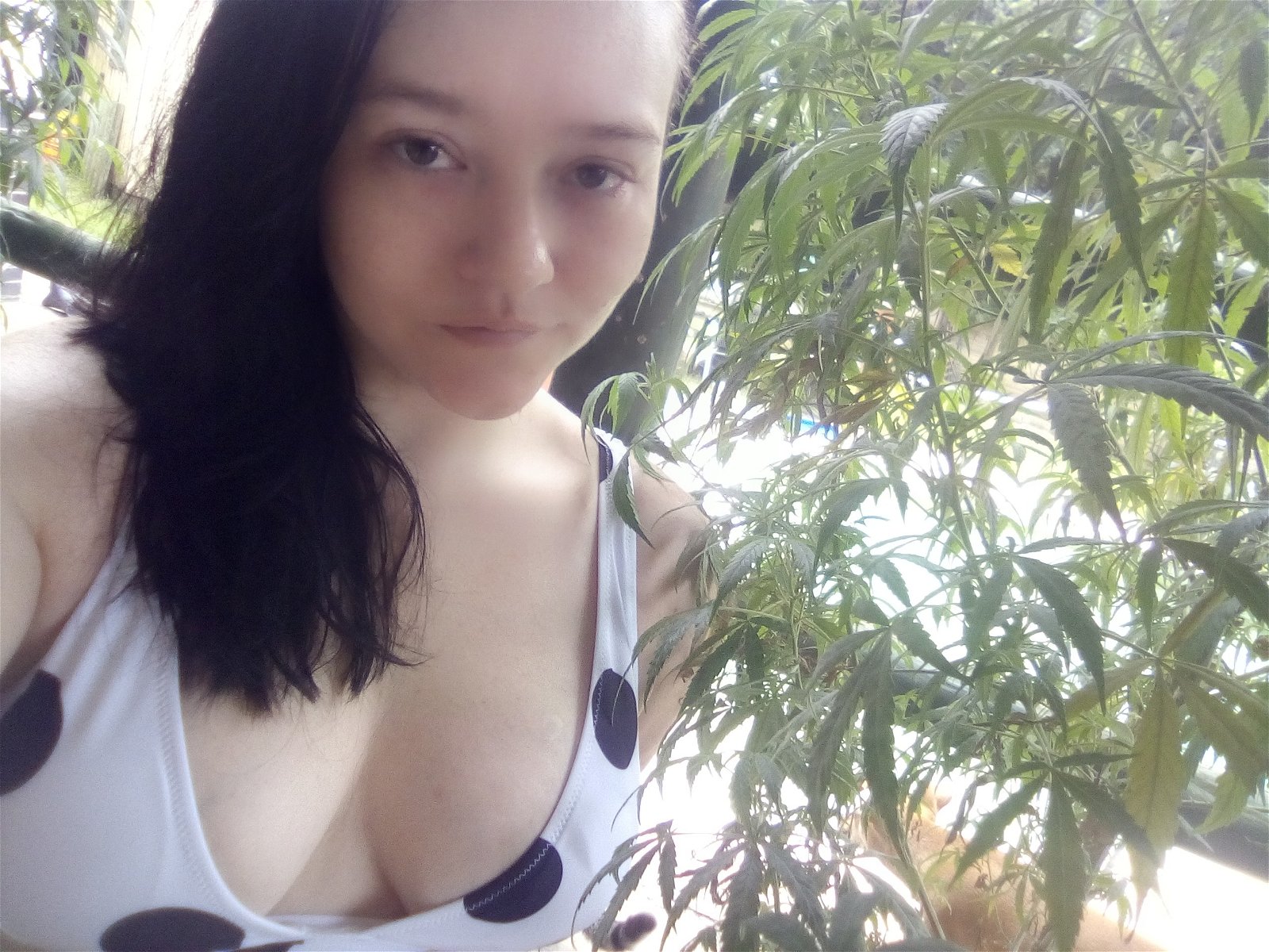 Photo by Restlesflame with the username @Restlesflame, who is a star user,  December 31, 2020 at 2:18 PM. The post is about the topic Sexy Stoner Girls and the text says 'Imagine what else I can make grow <3'