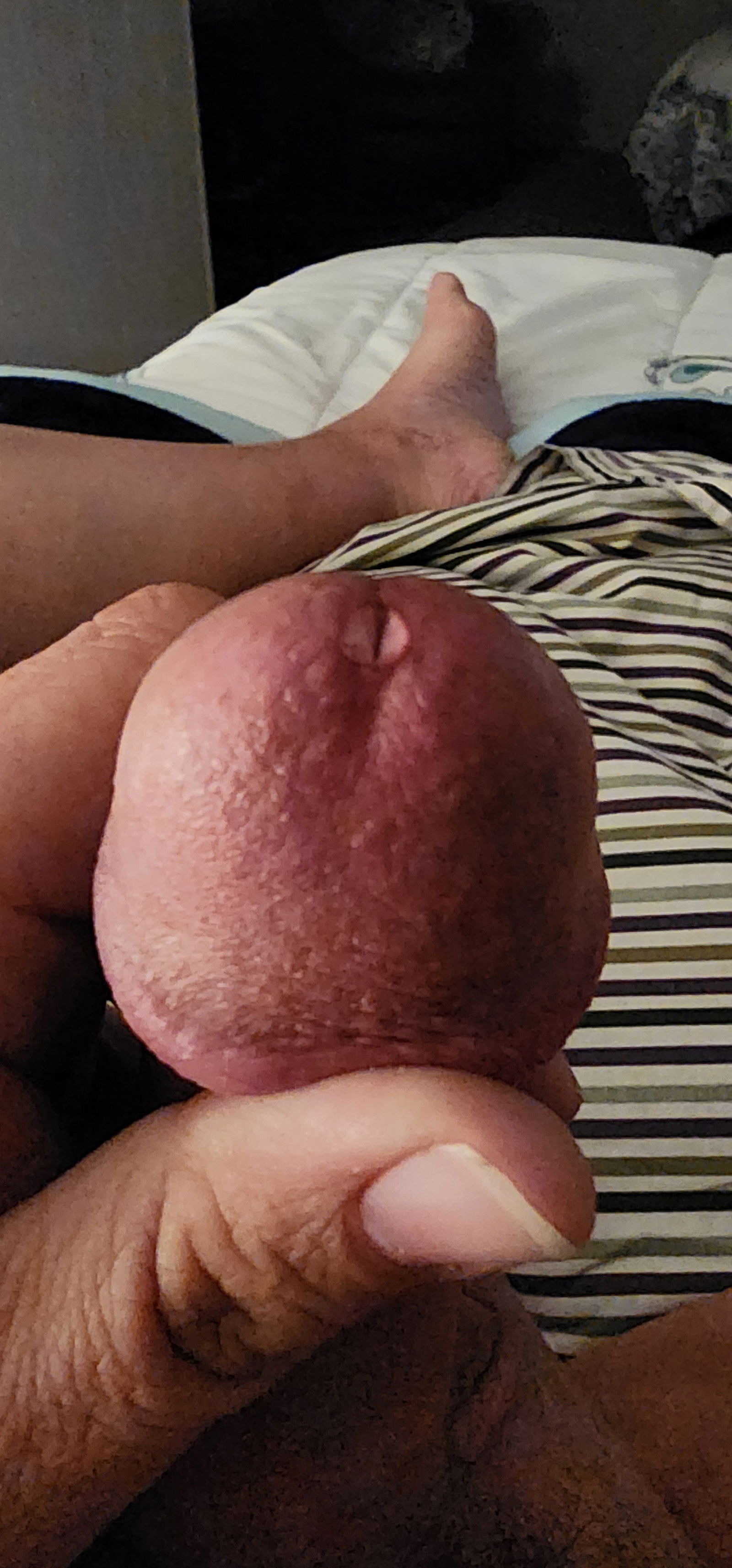 Album by getmyroxxxoff with the username @getmyroxxxoff,  May 26, 2024 at 5:35 AM. The post is about the topic Rate My Cock and the text says '#cock #hardon #precum'